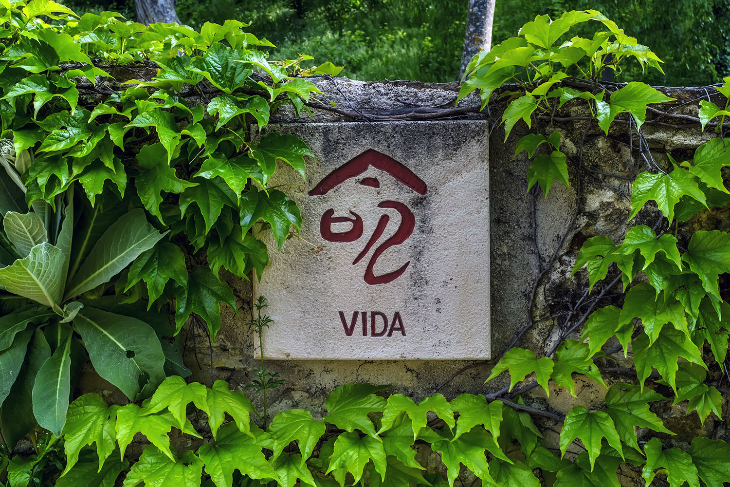 20180523_Jardin Miguel Delibes Kanjis Vida_KAM9343b