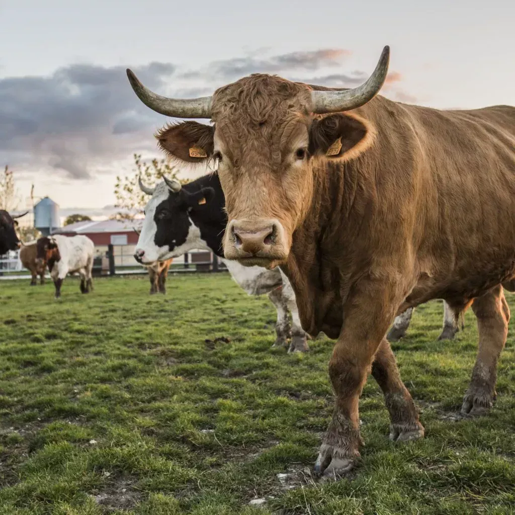 imgi_28_Access-Avion-1536x1024